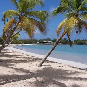 Little Paradise Appartement